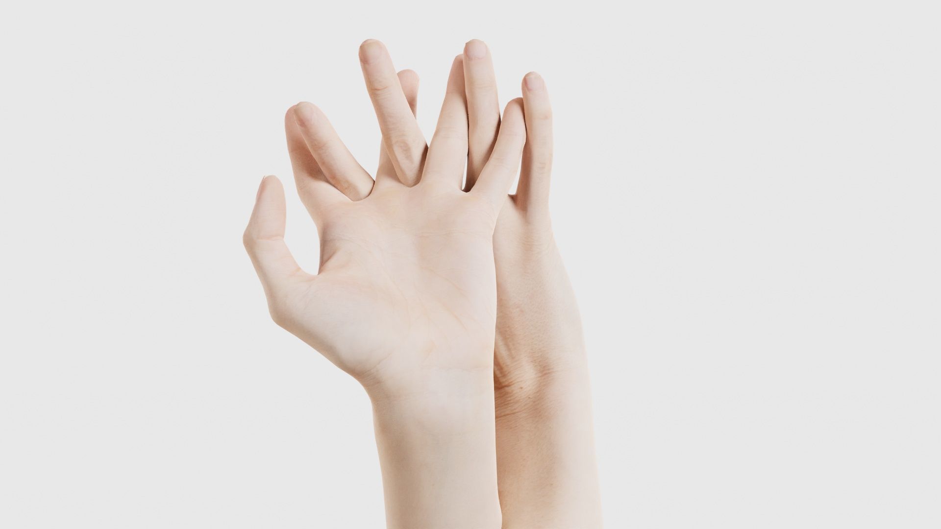 Duo Hands 028 Low-poly 3D model_22