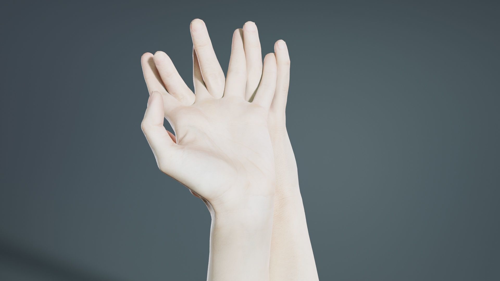 Duo Hands 028 Low-poly 3D model_1