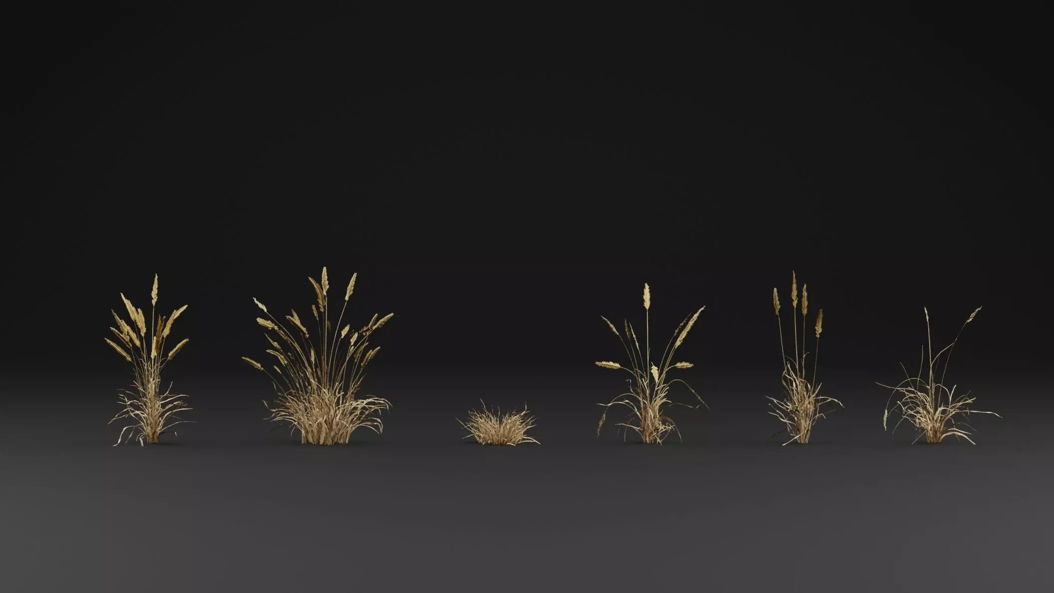 Grass  3D model_1