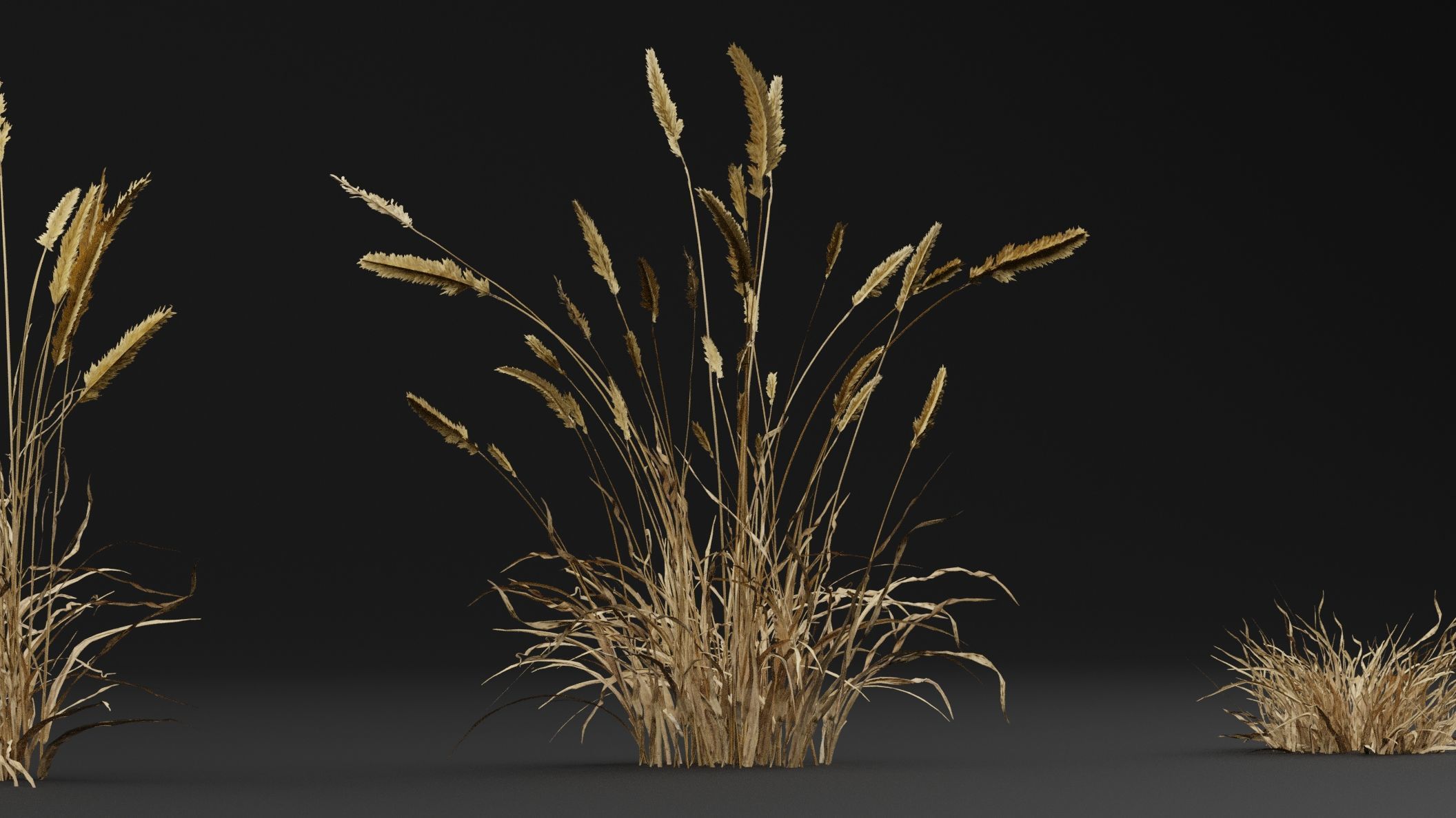 Grass  3D model_0