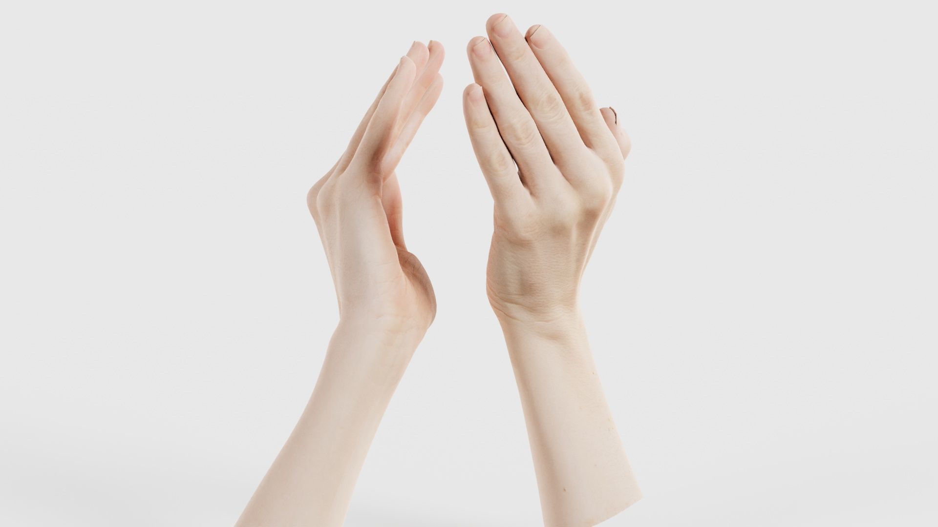 Duo Hands 029 Low-poly 3D model_25