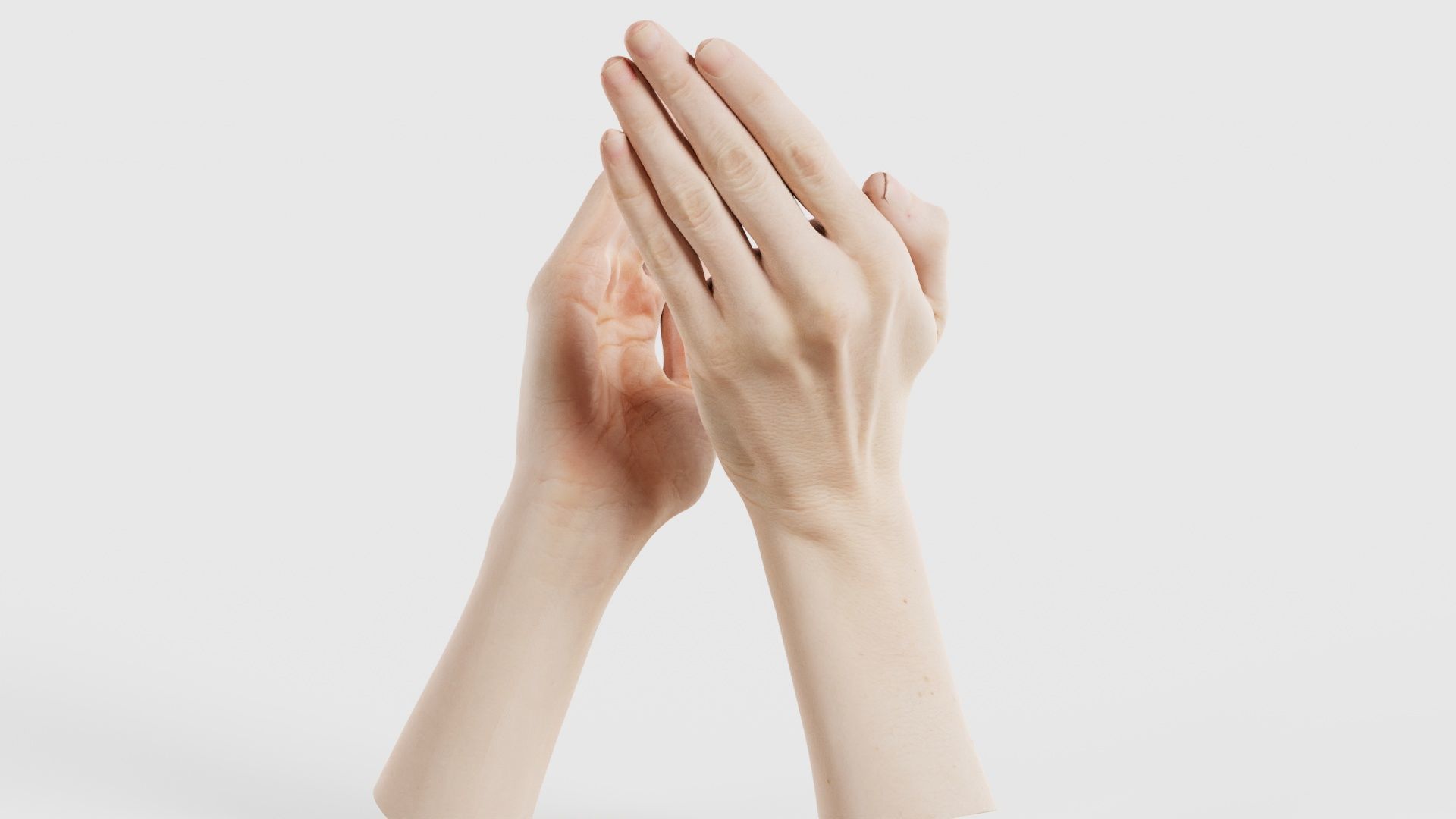 Duo Hands 029 Low-poly 3D model_24