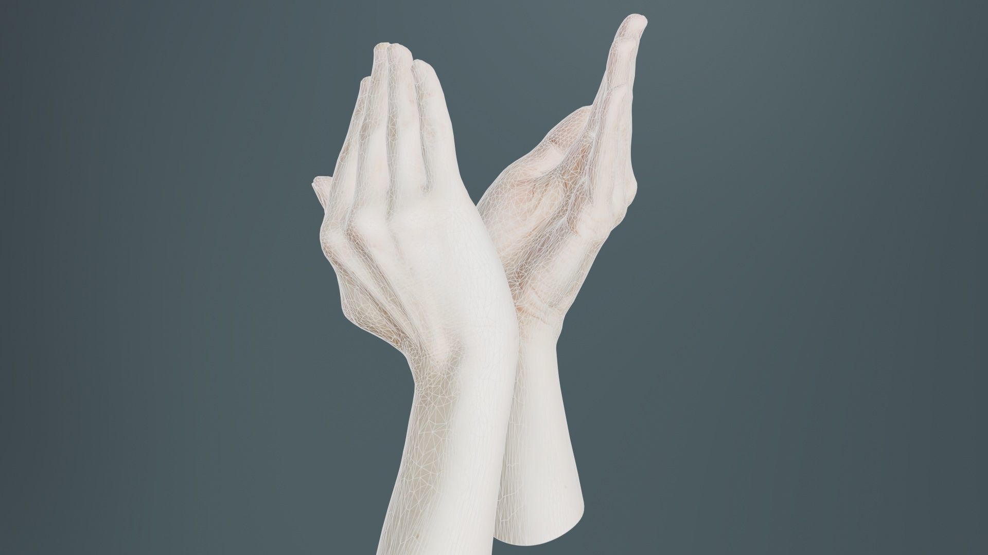 Duo Hands 029 Low-poly 3D model_9