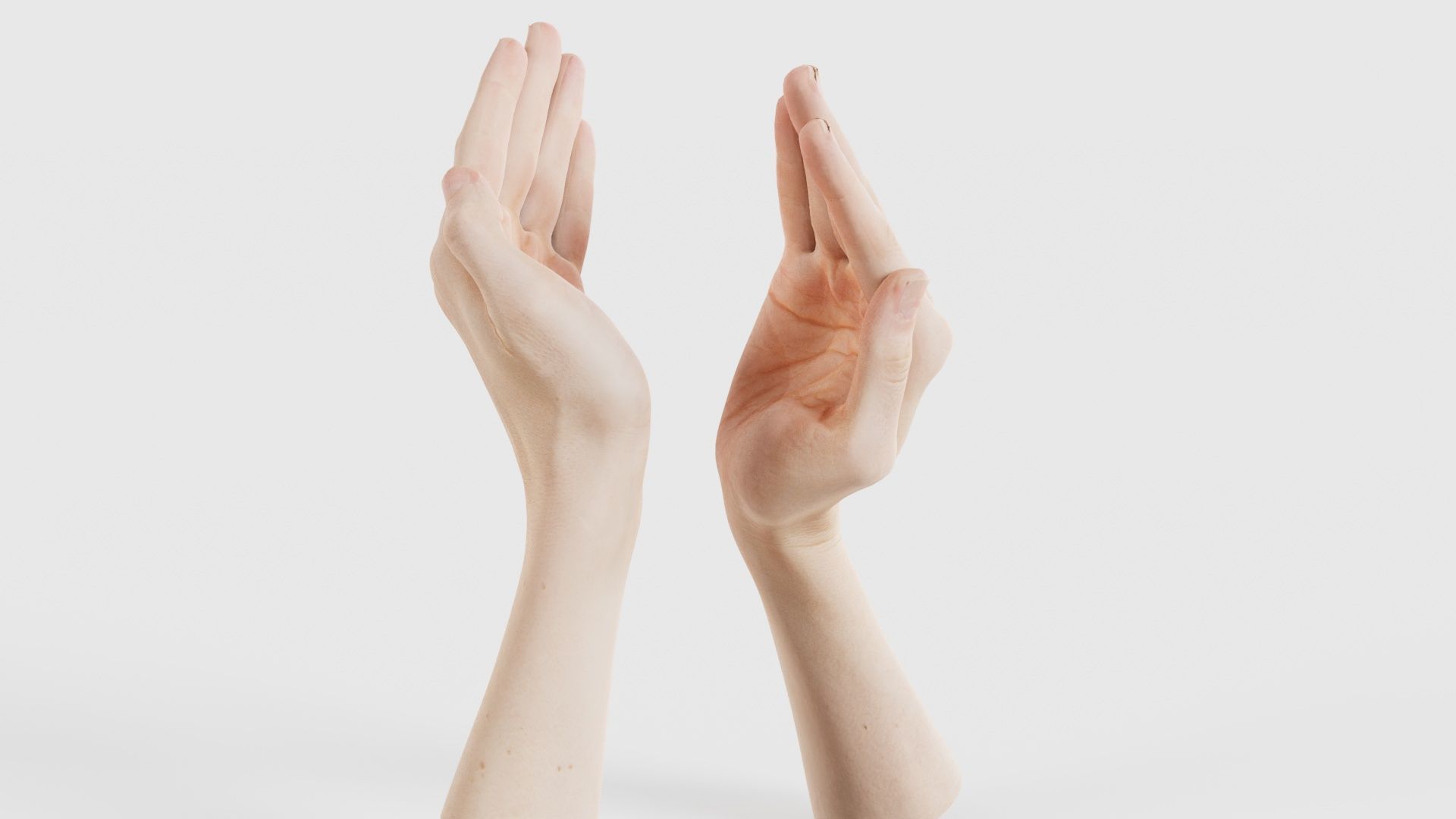 Duo Hands 029 Low-poly 3D model_20
