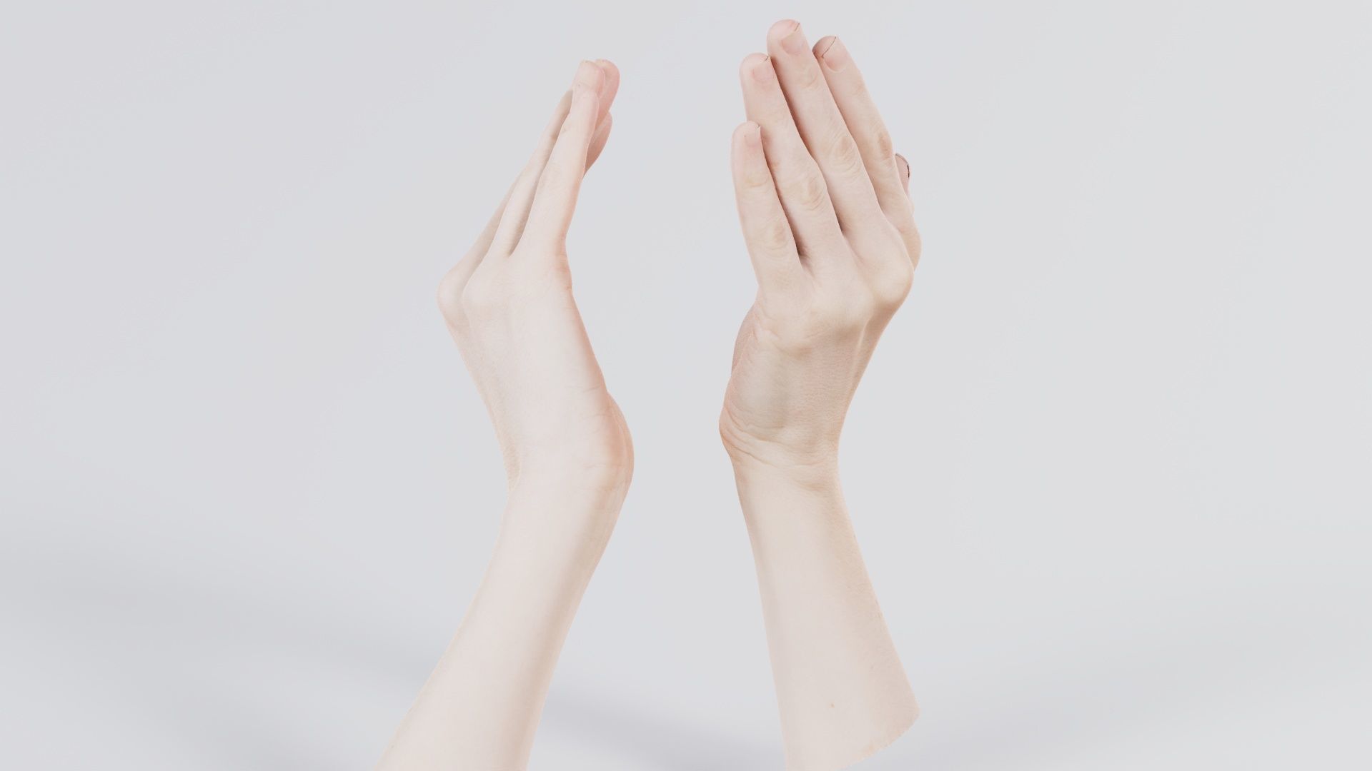 Duo Hands 029 Low-poly 3D model_3