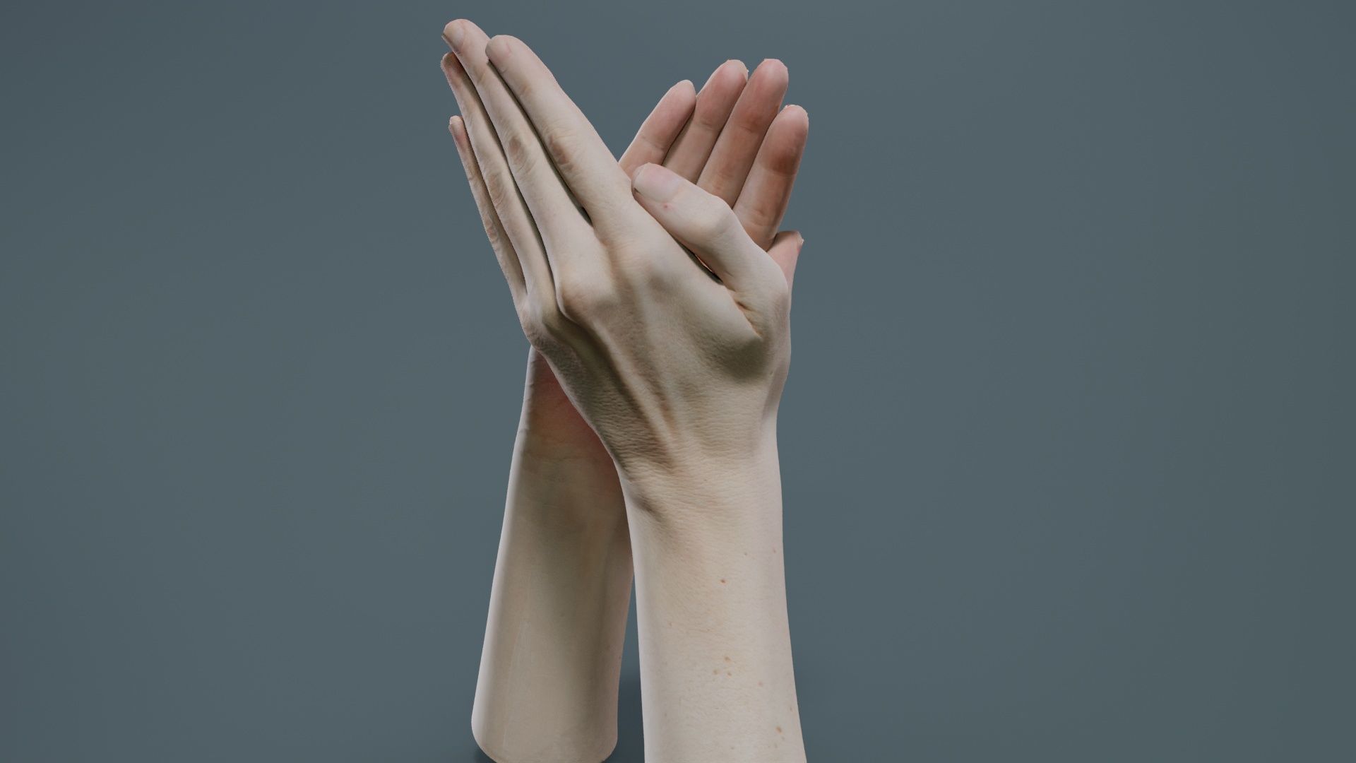 Duo Hands 029 Low-poly 3D model_8