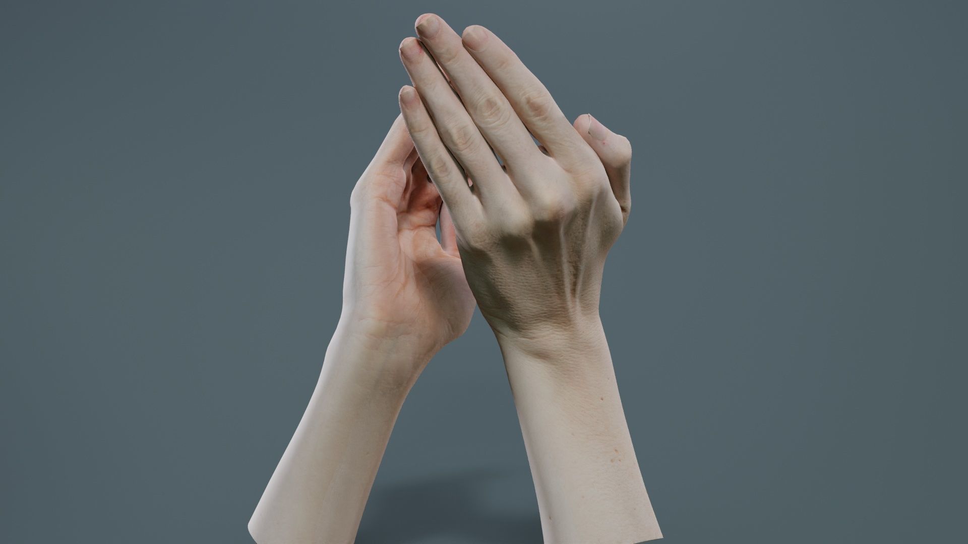 Duo Hands 029 Low-poly 3D model_1