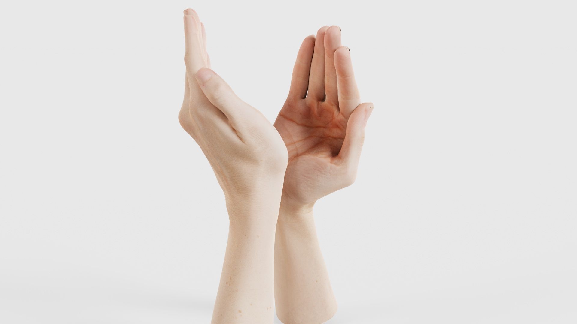Duo Hands 029 Low-poly 3D model_21