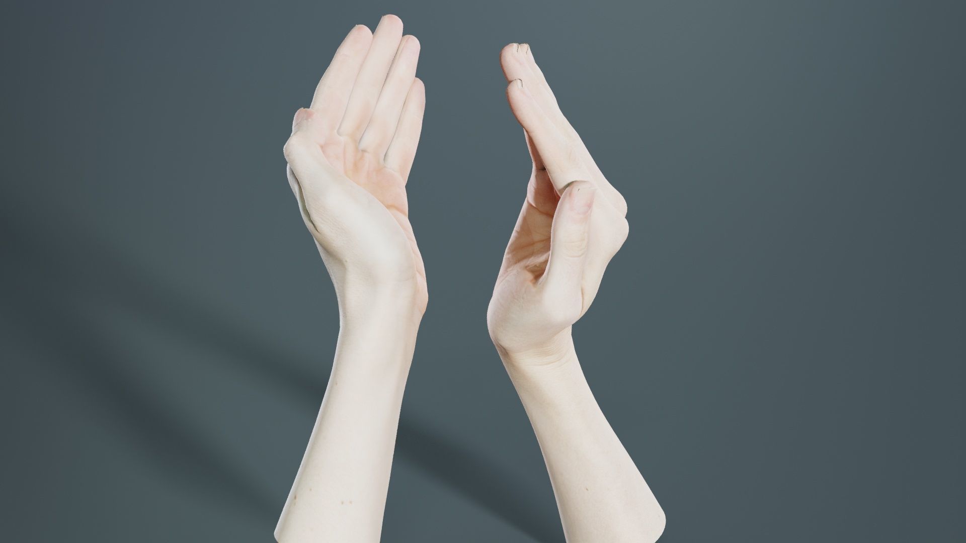 Duo Hands 029 Low-poly 3D model_7