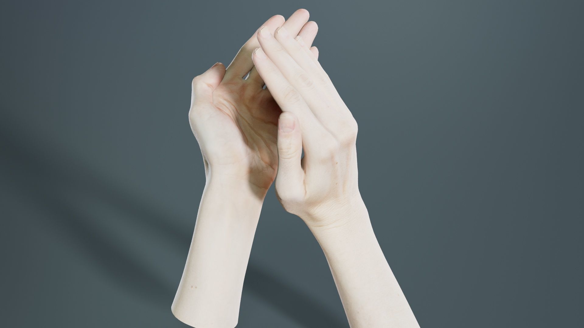 Duo Hands 029 Low-poly 3D model_2