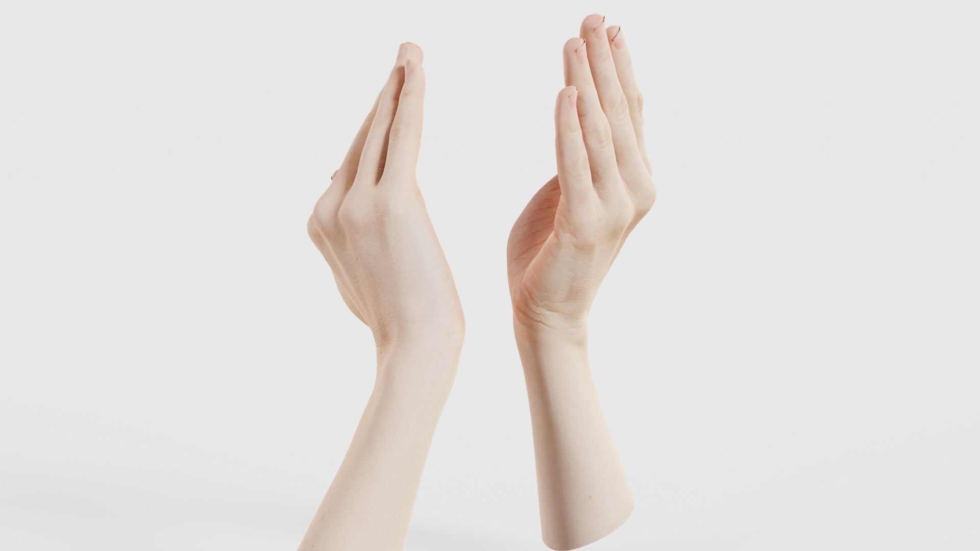 Duo Hands 029 Low-poly 3D model_26