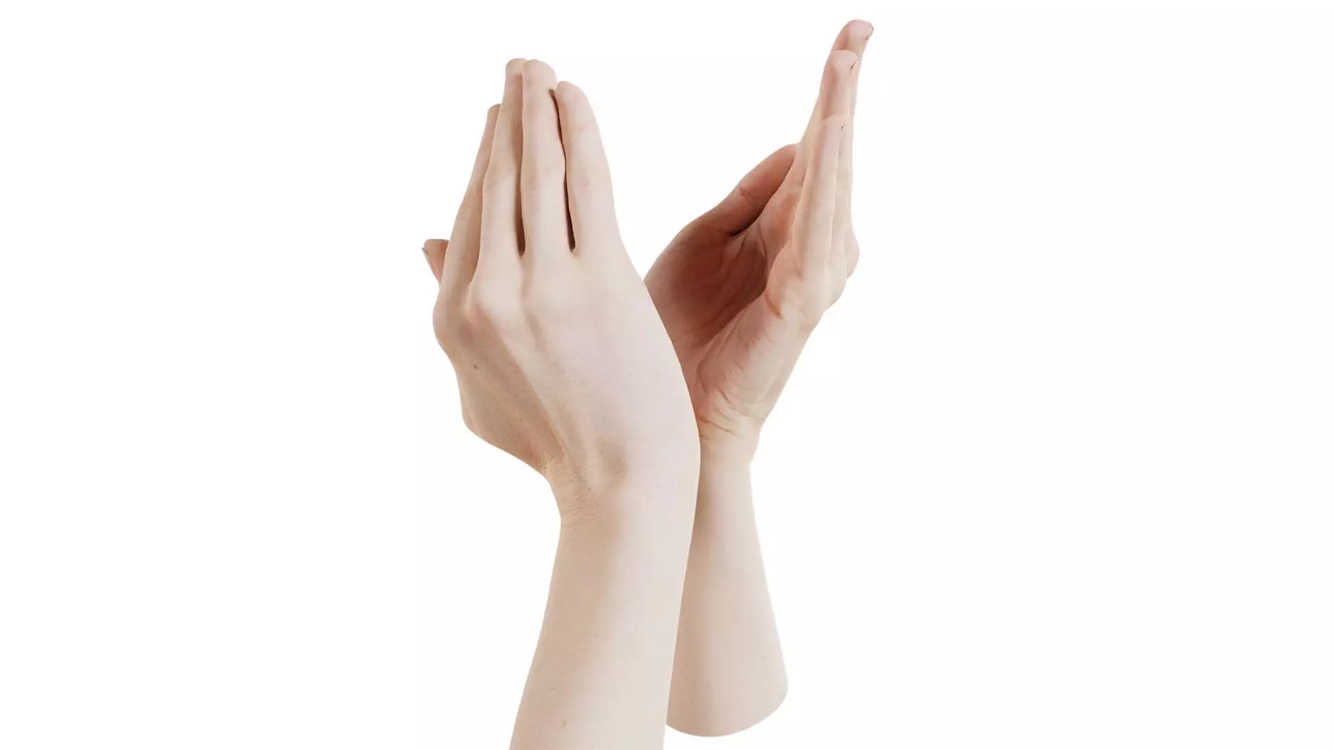 Duo Hands 029 Low-poly 3D model_0