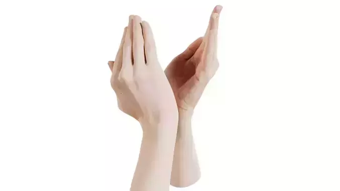 Duo Hands 029 Low-poly 3D model