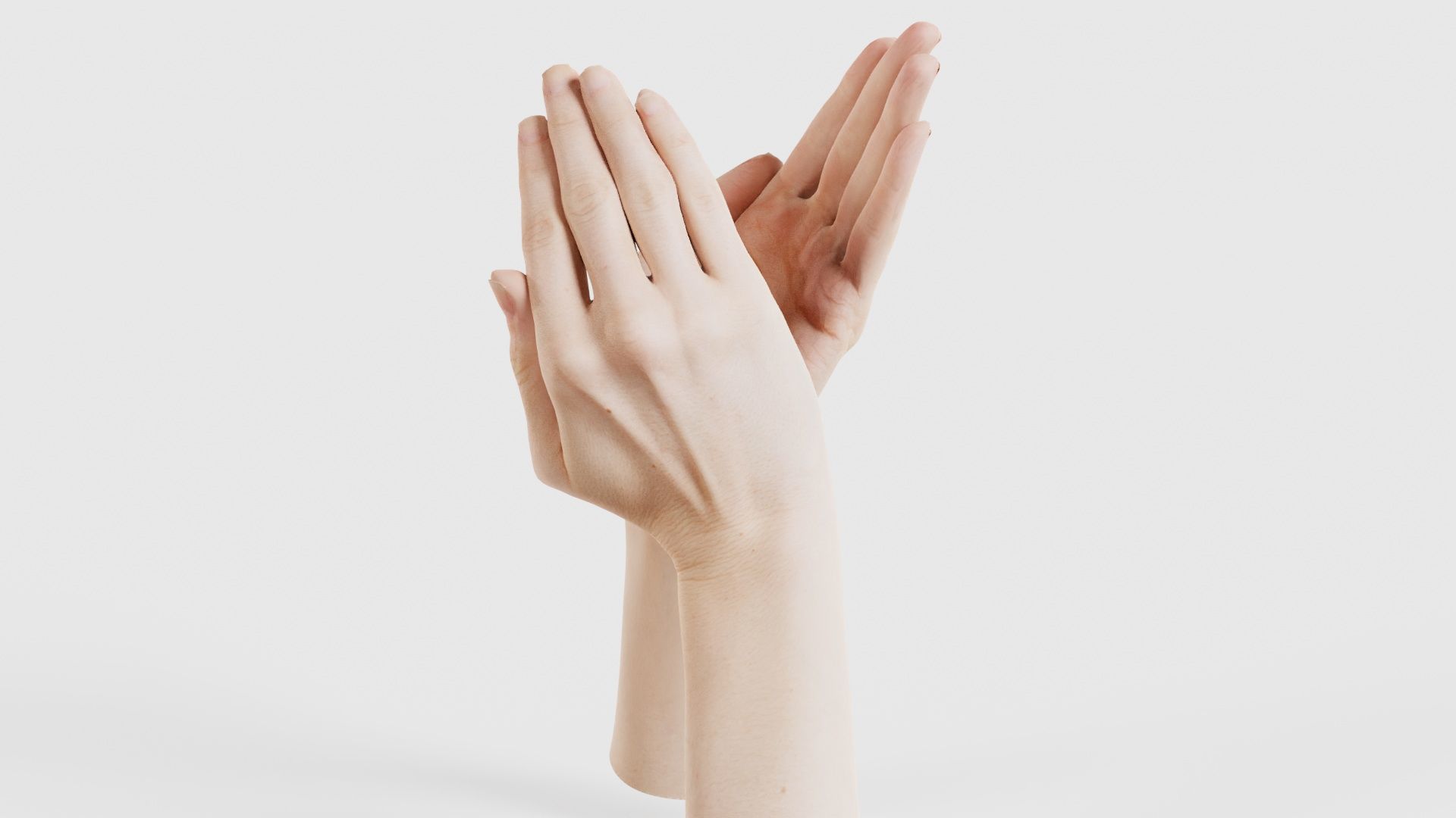 Duo Hands 029 Low-poly 3D model_16