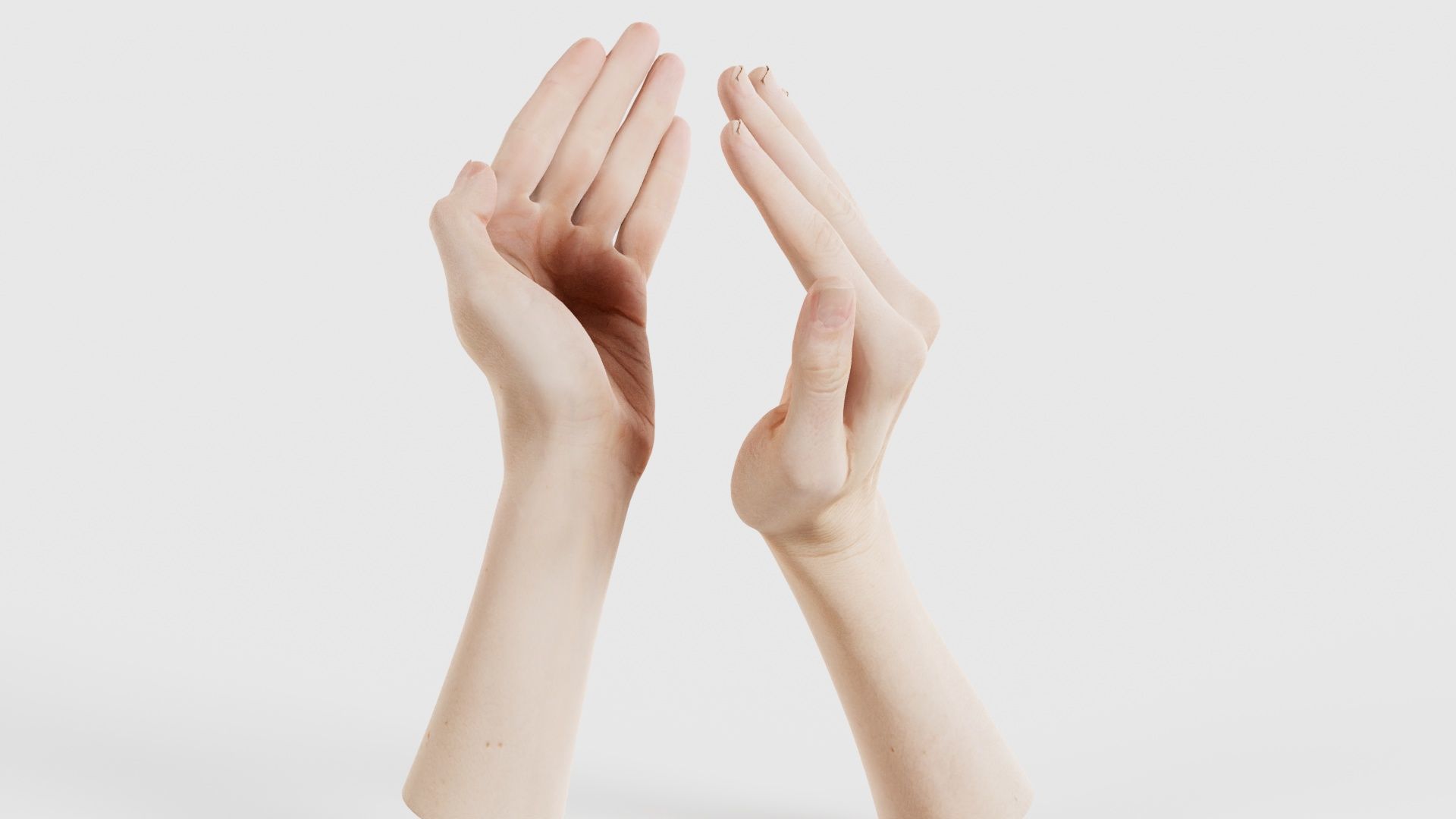 Duo Hands 029 Low-poly 3D model_19