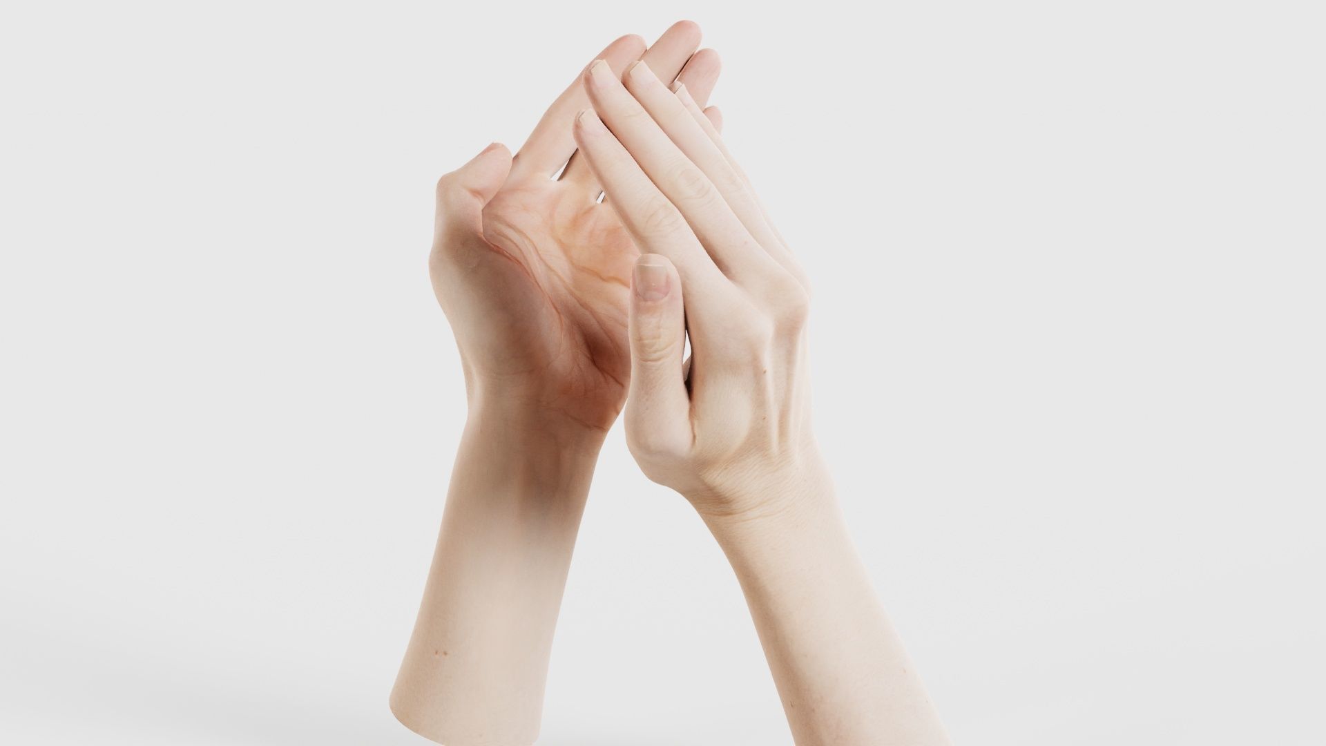 Duo Hands 029 Low-poly 3D model_18