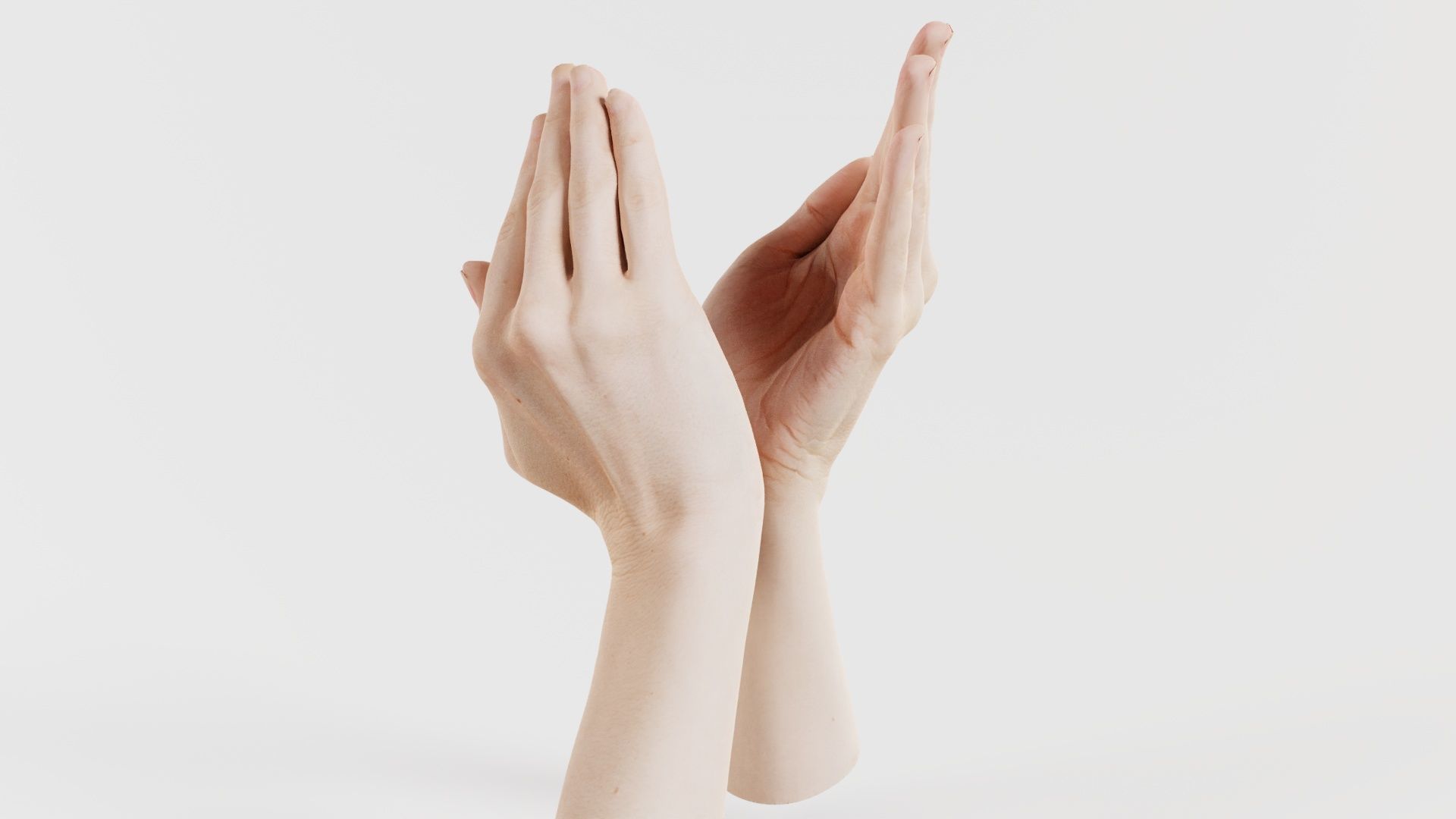 Duo Hands 029 Low-poly 3D model_4