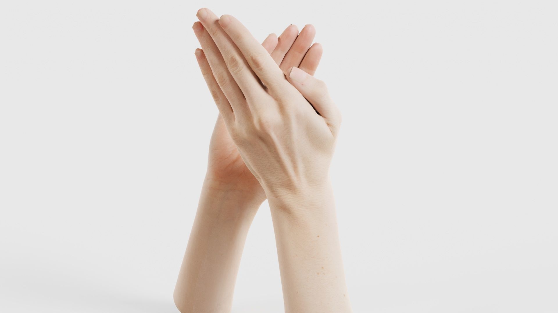 Duo Hands 029 Low-poly 3D model_23