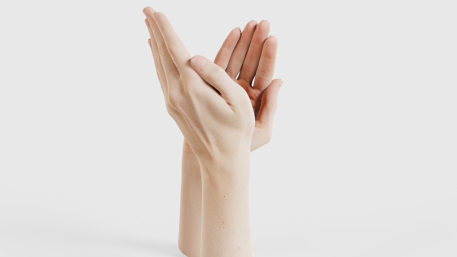 Duo Hands 029 Low-poly 3D model_22