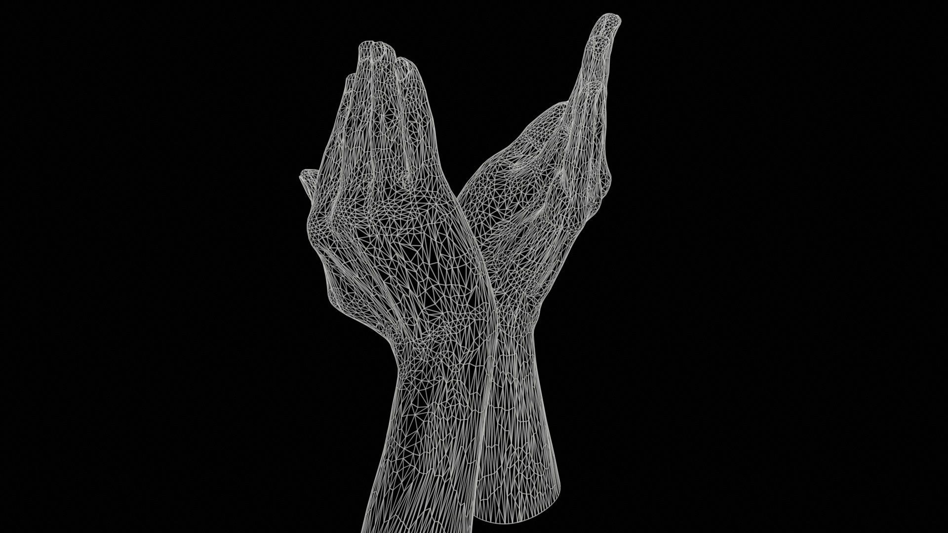 Duo Hands 029 Low-poly 3D model_11