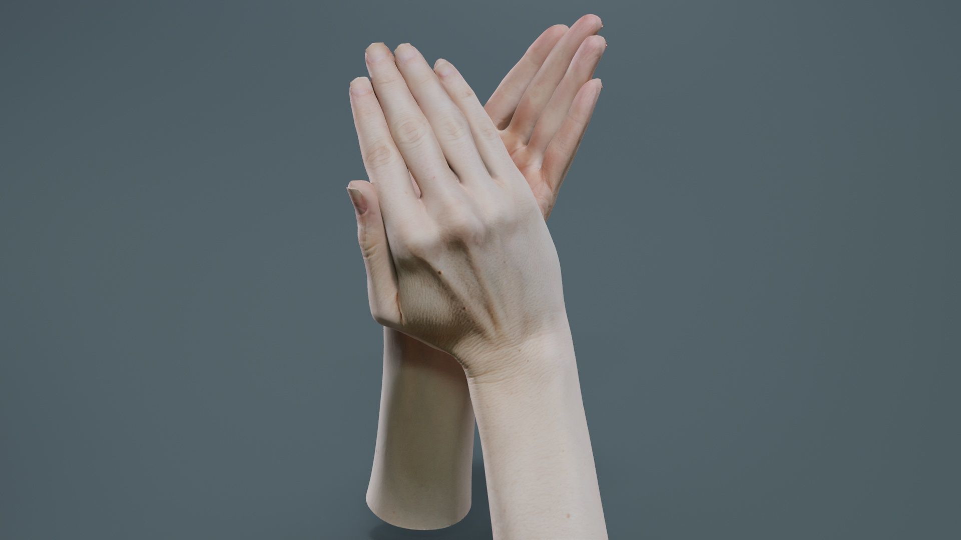 Duo Hands 029 Low-poly 3D model_5