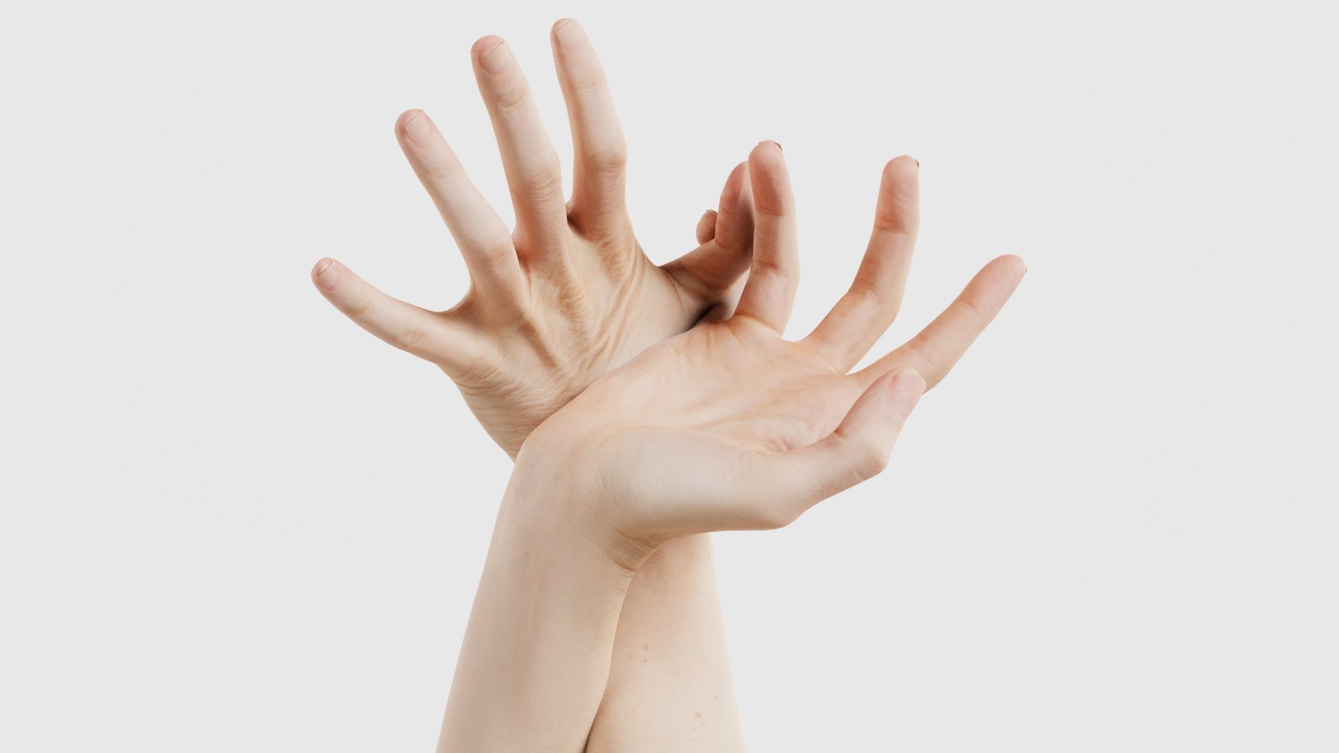 Duo Hands 030 Low-poly 3D model_15