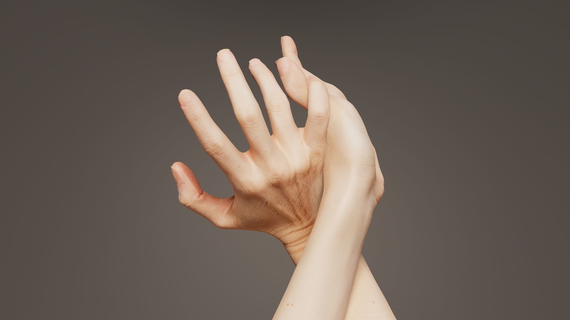 Duo Hands 030 Low-poly 3D model_3