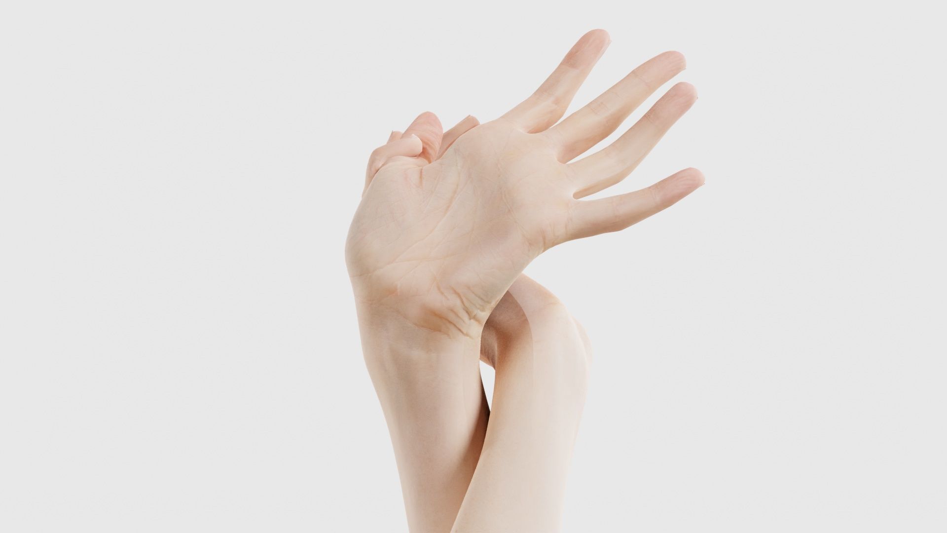 Duo Hands 030 Low-poly 3D model_19