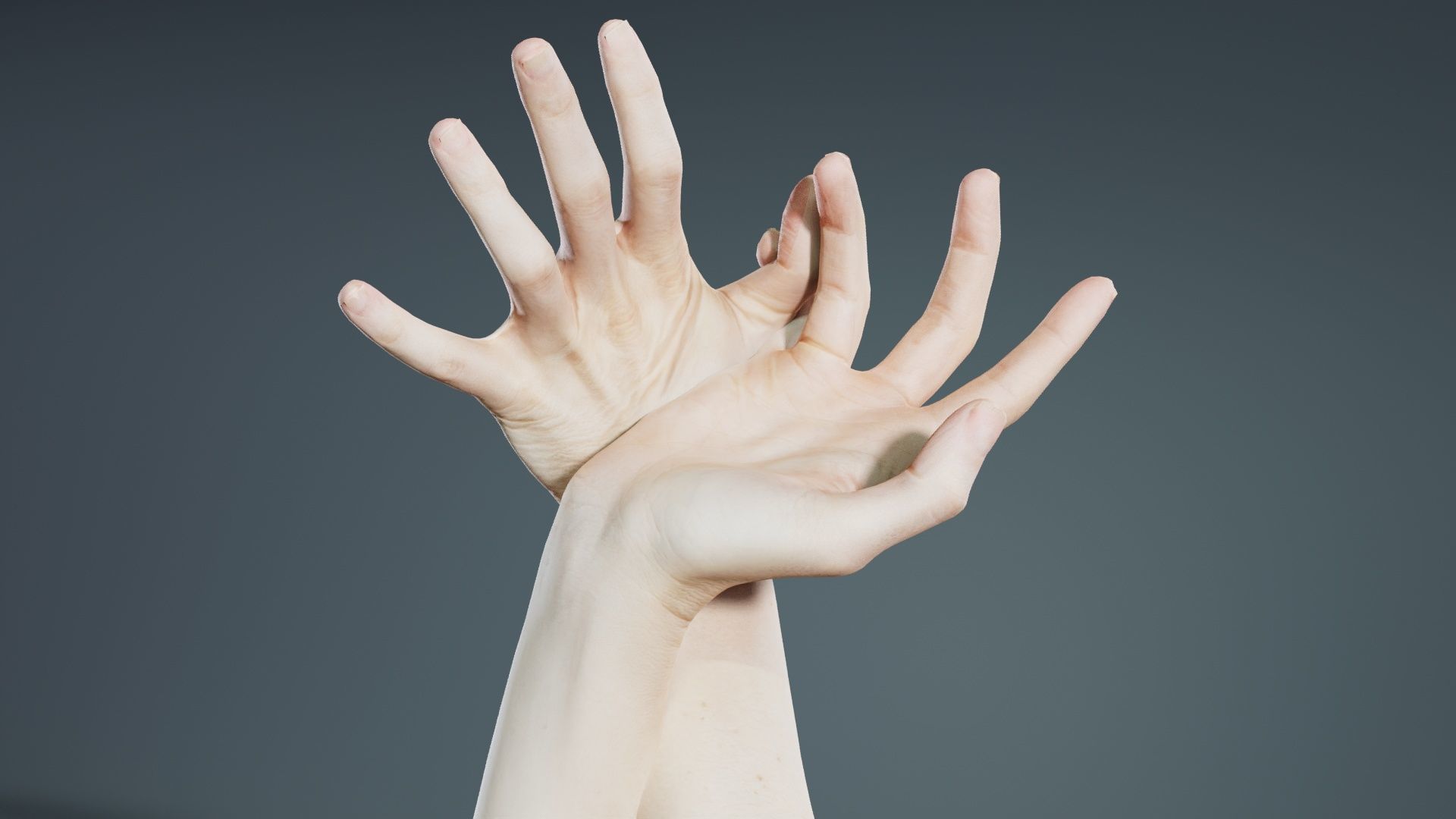 Duo Hands 030 Low-poly 3D model_5