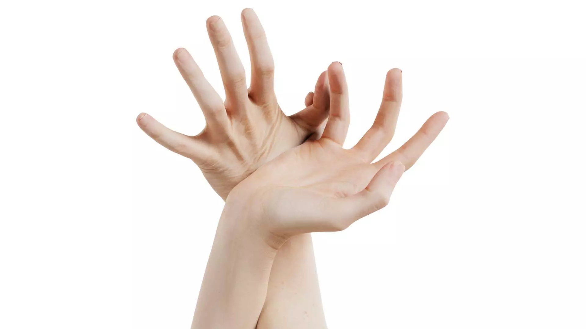 Duo Hands 030 Low-poly 3D model_0