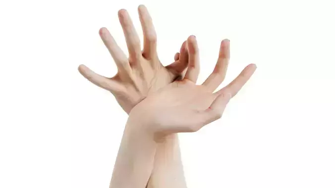 Duo Hands 030 Low-poly 3D model