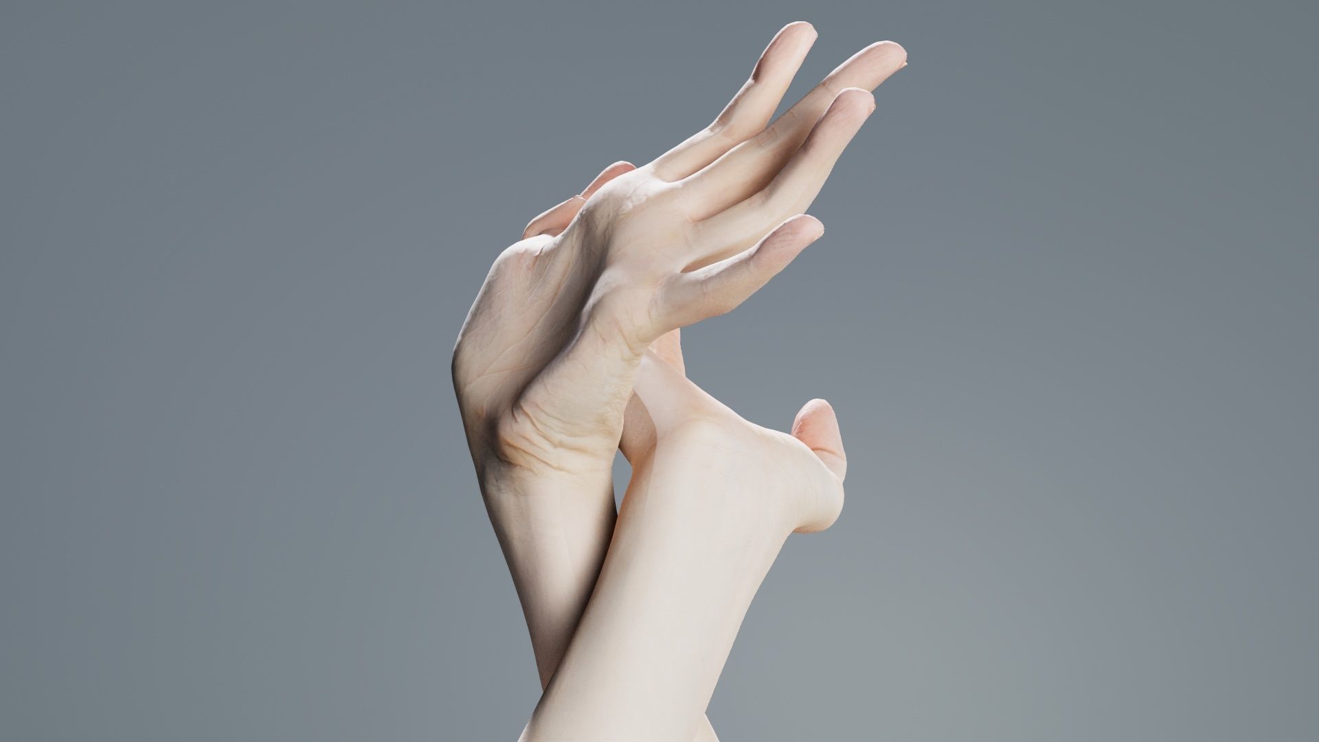 Duo Hands 030 Low-poly 3D model_6
