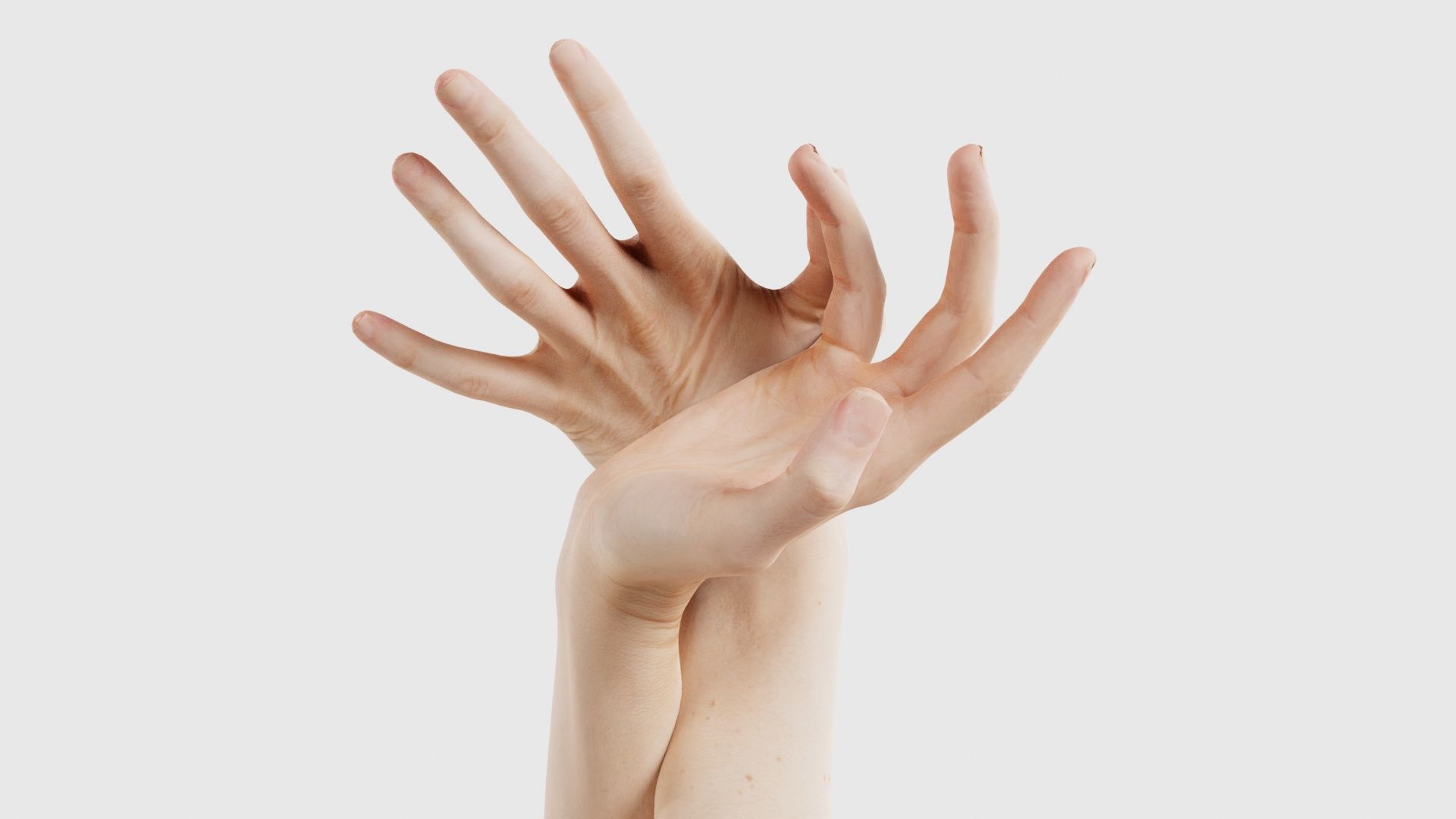 Duo Hands 030 Low-poly 3D model_26