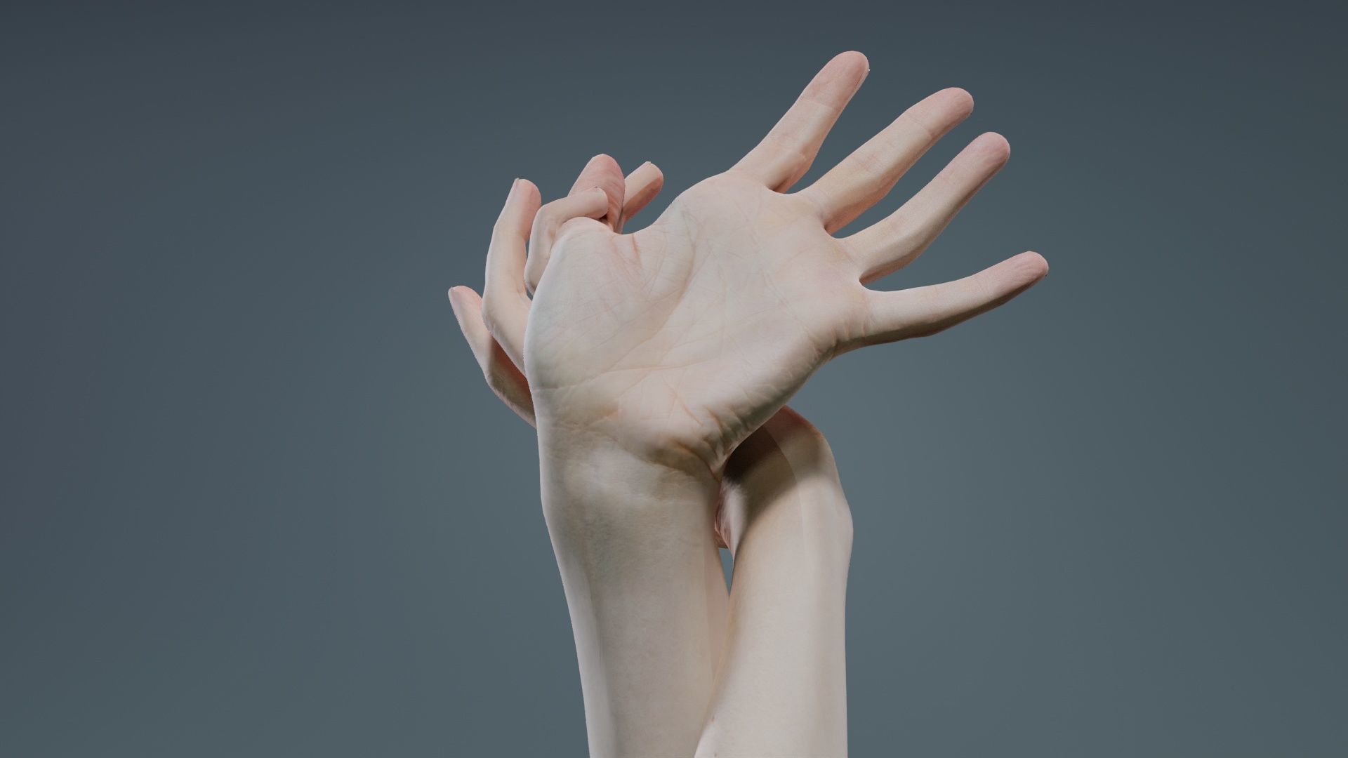 Duo Hands 030 Low-poly 3D model_1