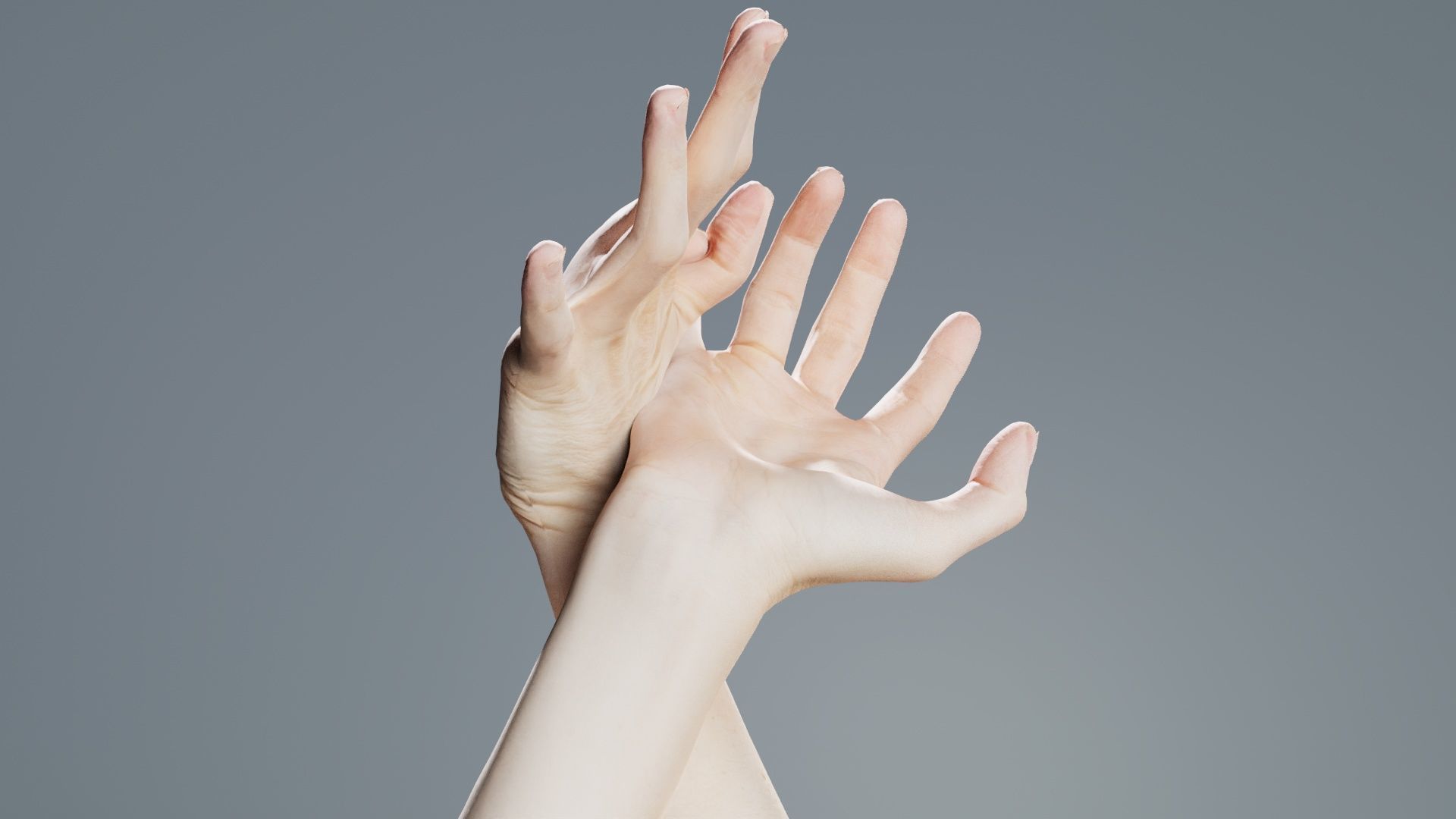 Duo Hands 030 Low-poly 3D model_2