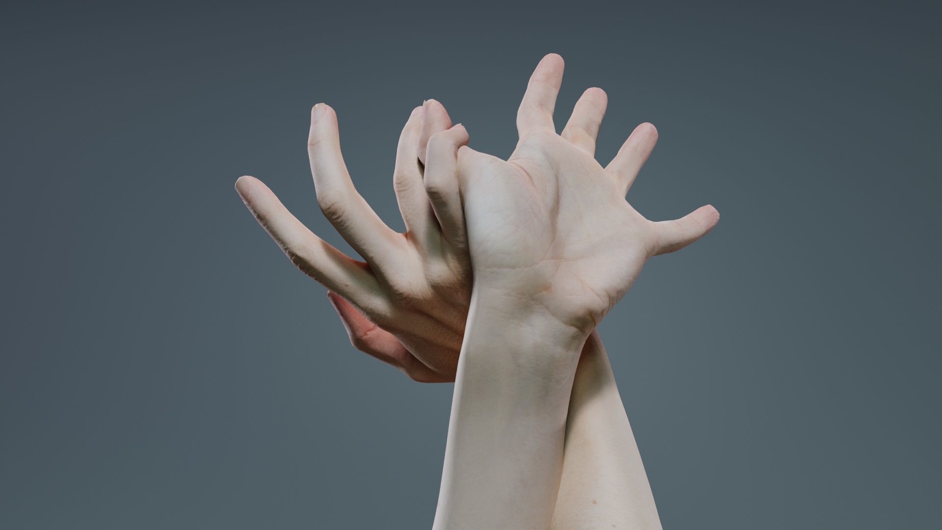 Duo Hands 030 Low-poly 3D model_4