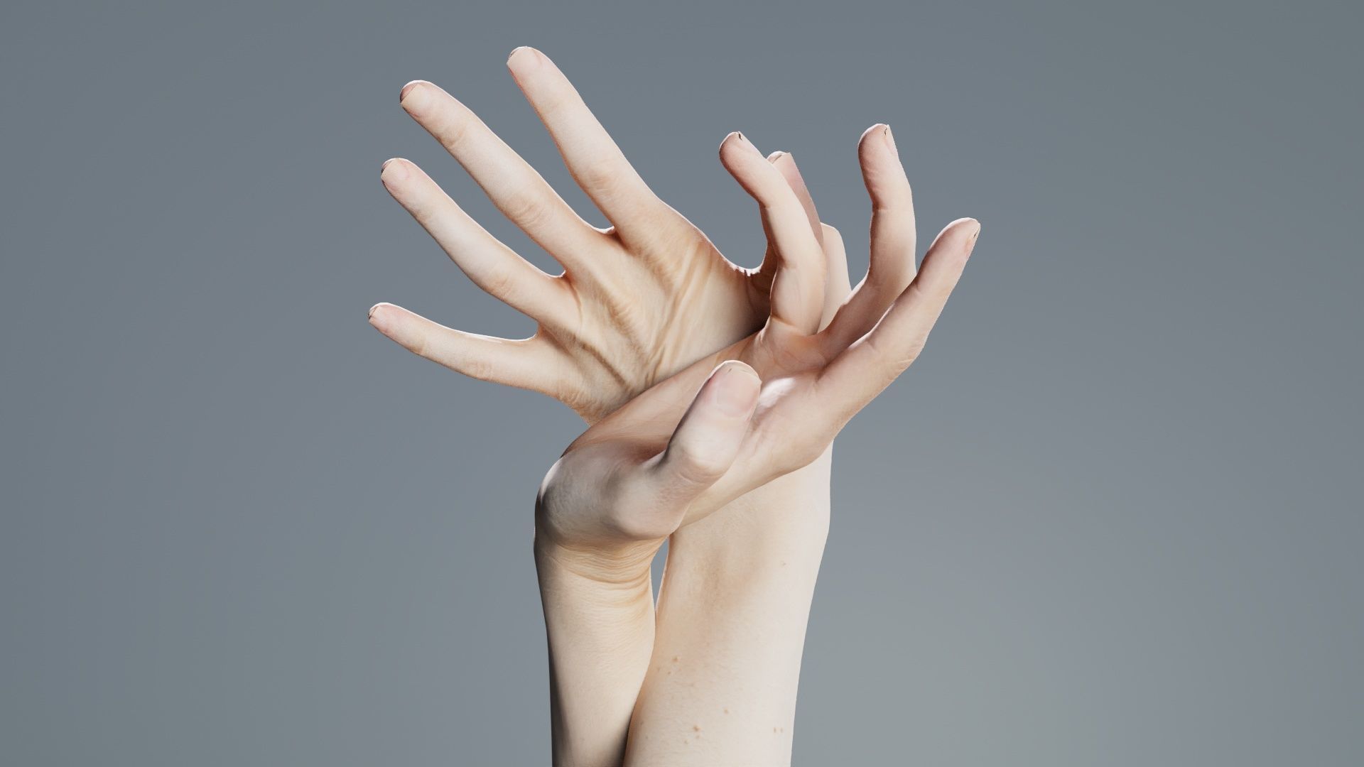 Duo Hands 030 Low-poly 3D model_8