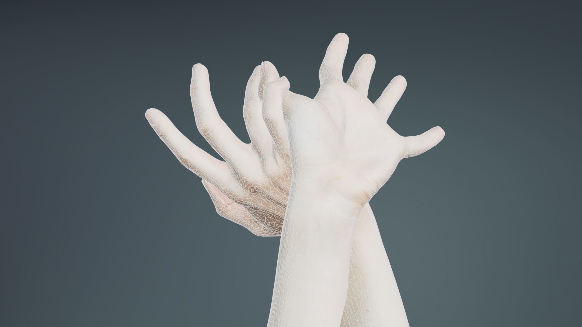 Duo Hands 030 Low-poly 3D model_10