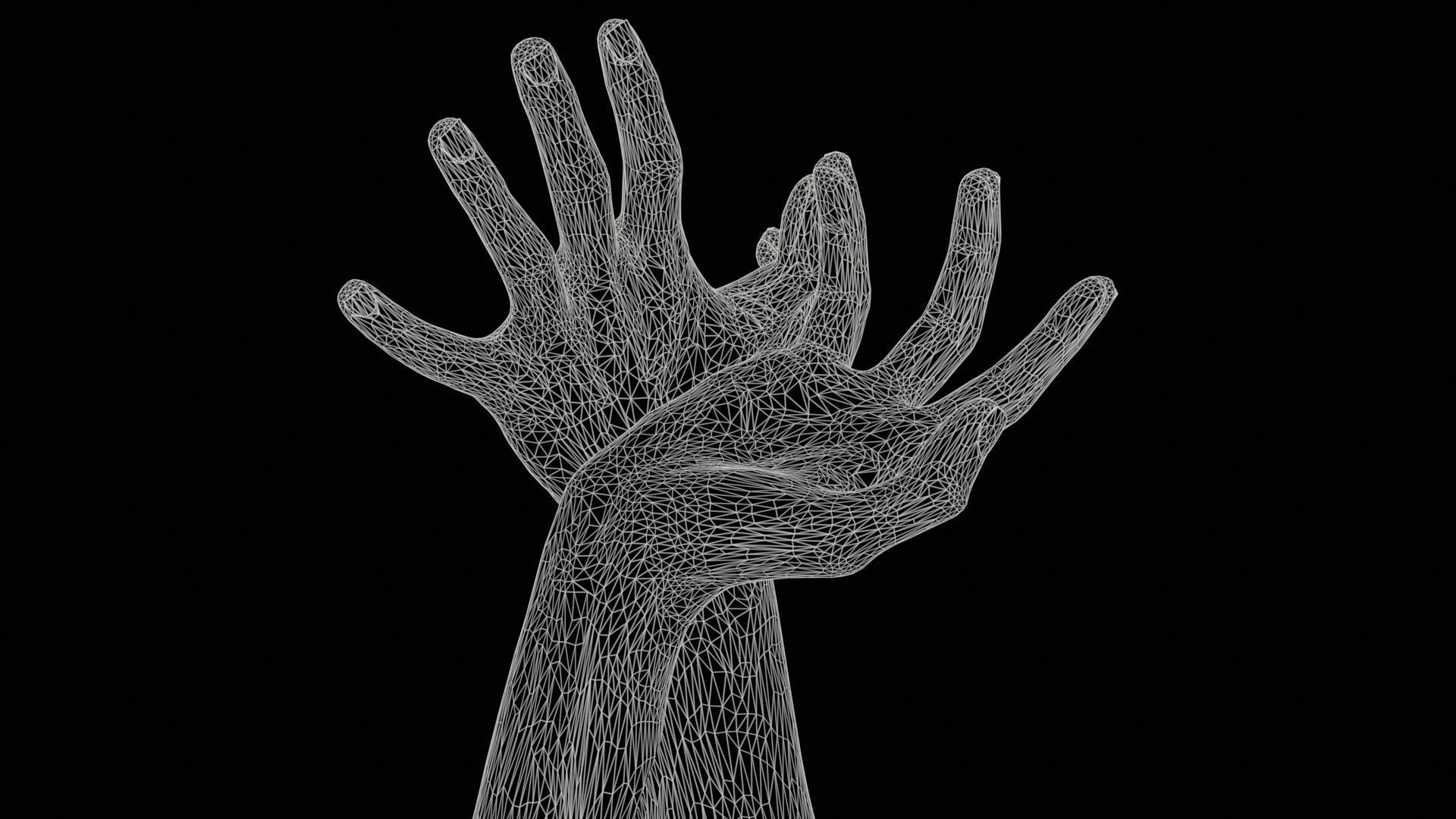 Duo Hands 030 Low-poly 3D model_11