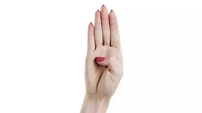 Woman Hand Sign Alphabet B