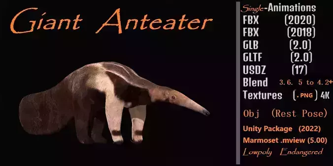 Giant Anteater