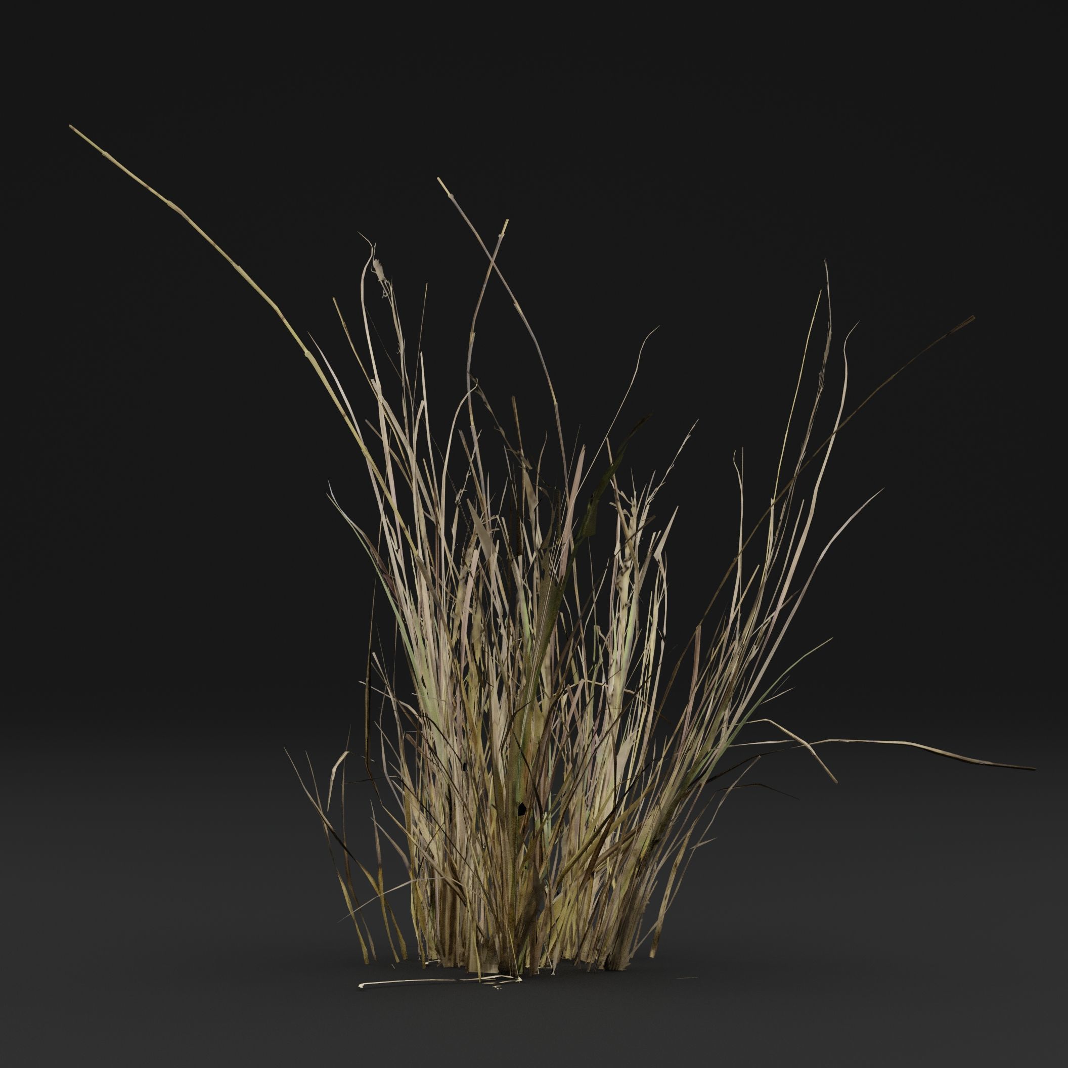 Grass 3D model_5