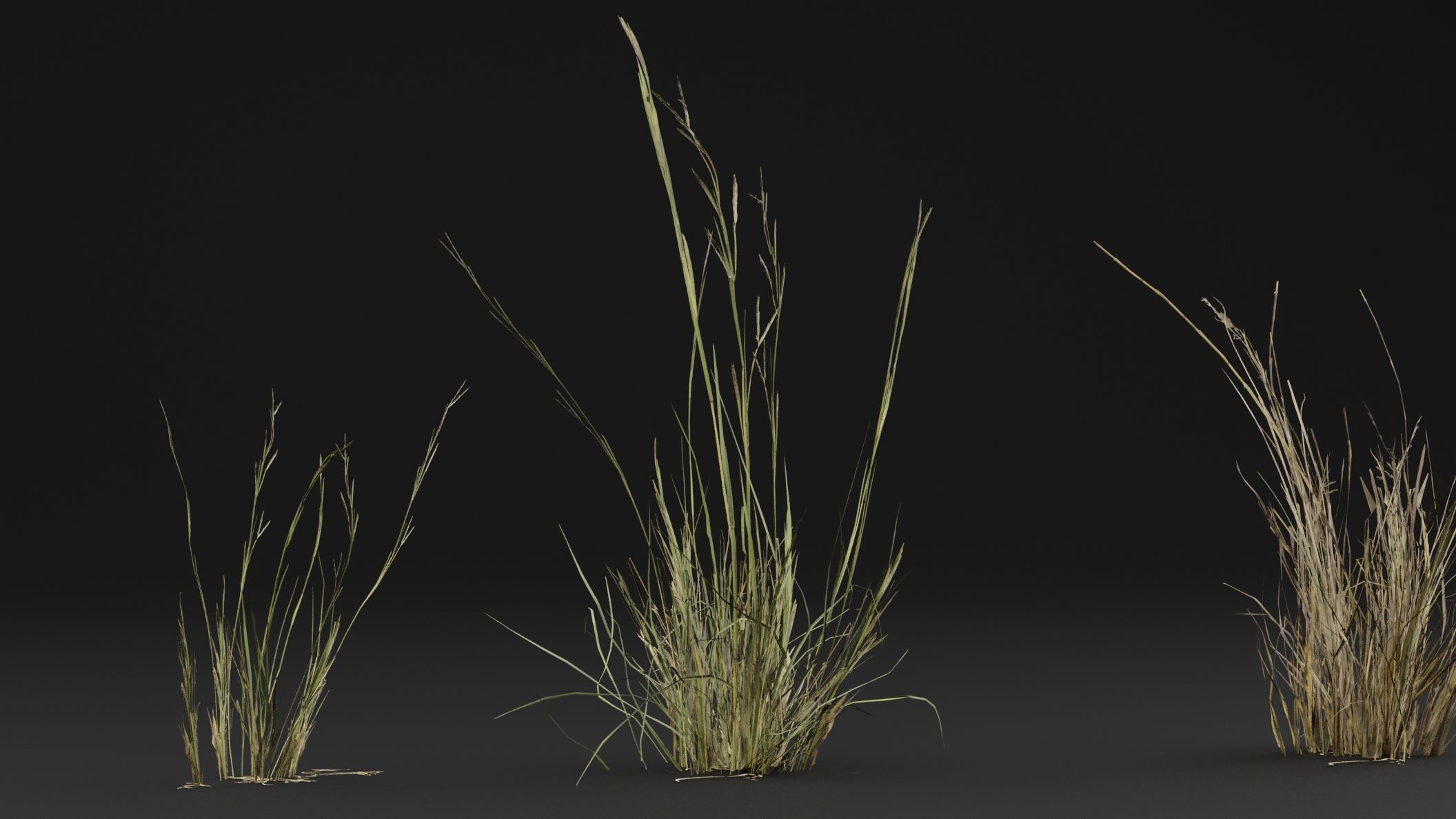 Grass 3D model_3