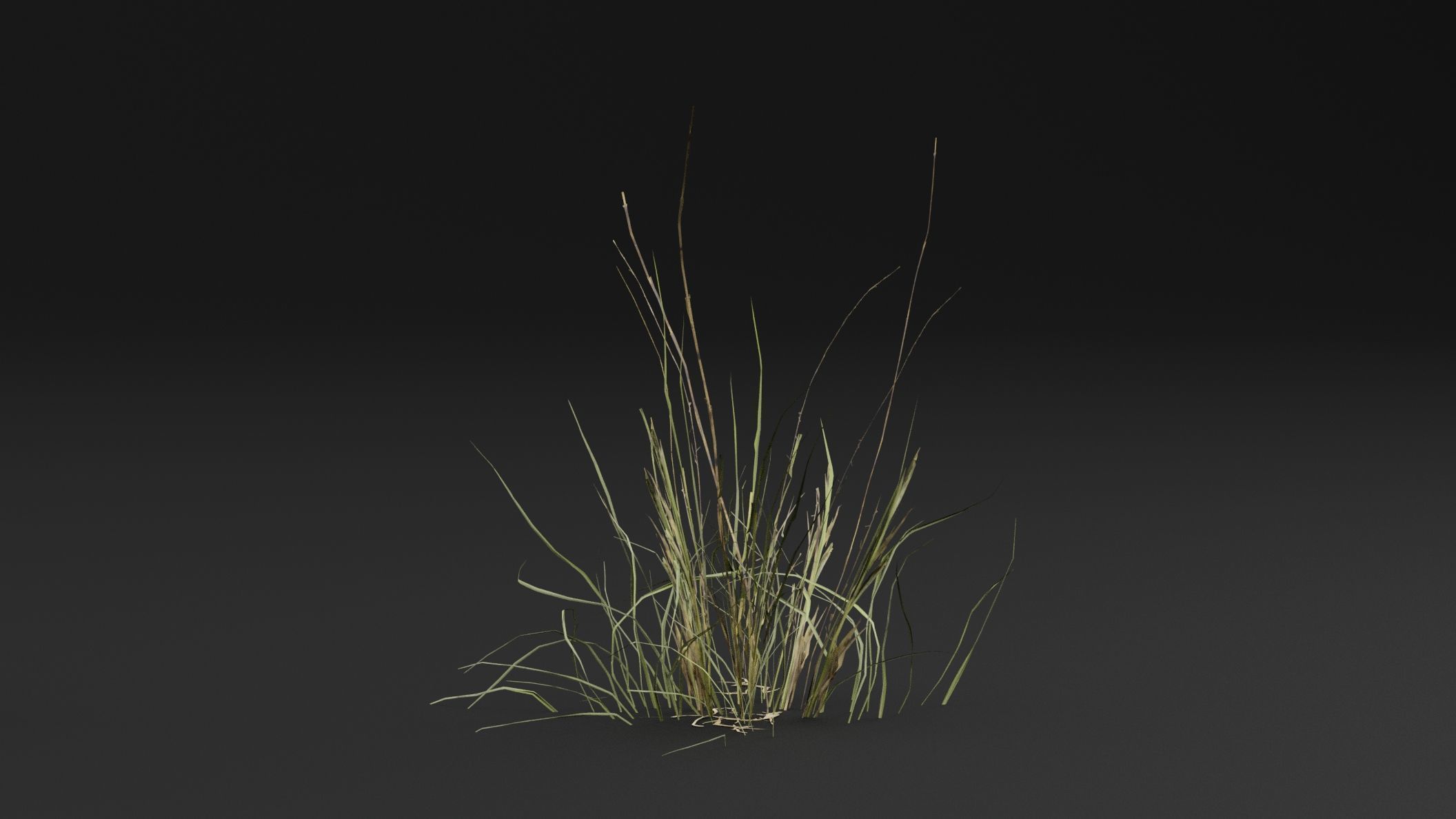 Grass 3D model_2