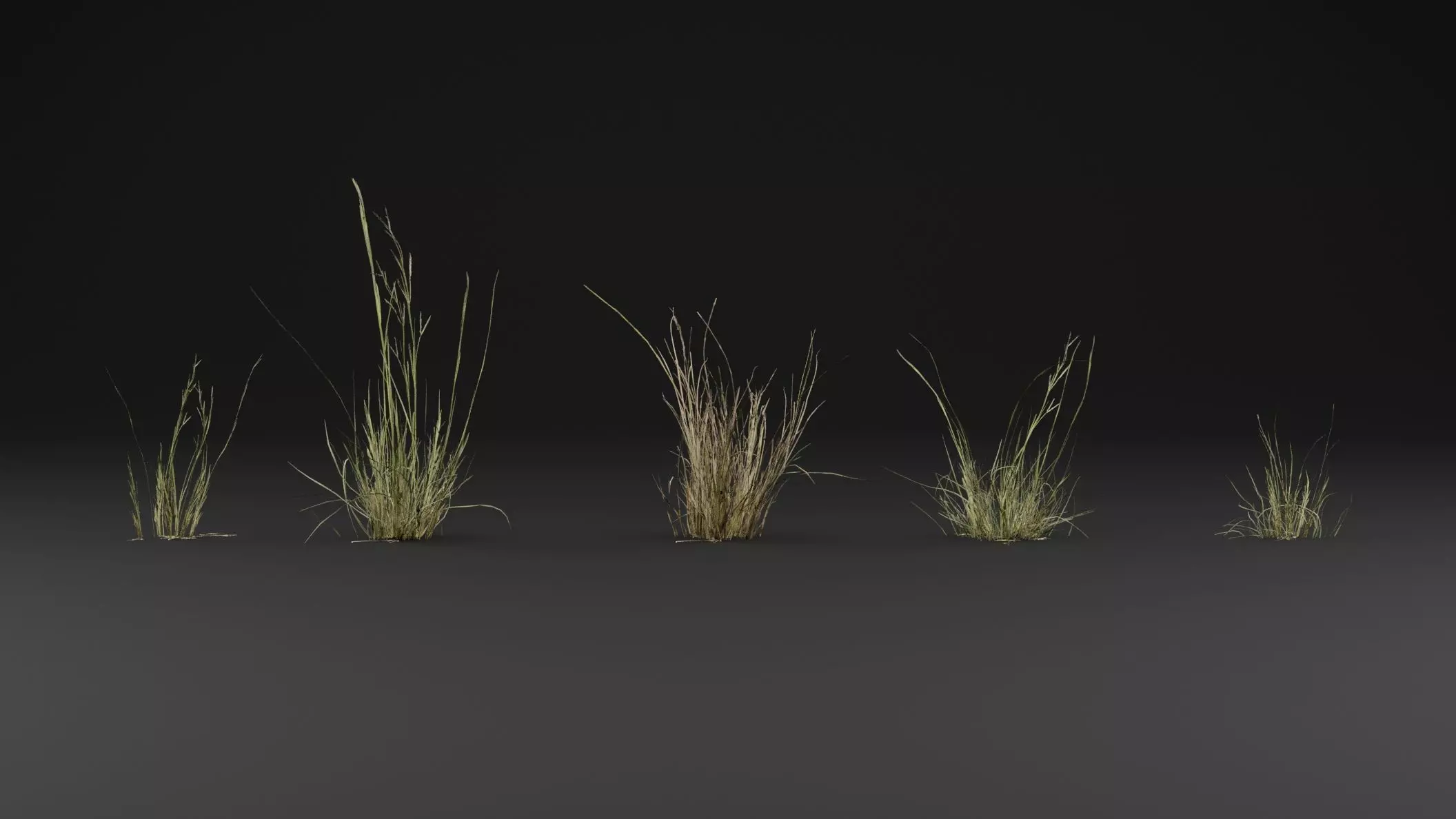 Grass 3D model_0