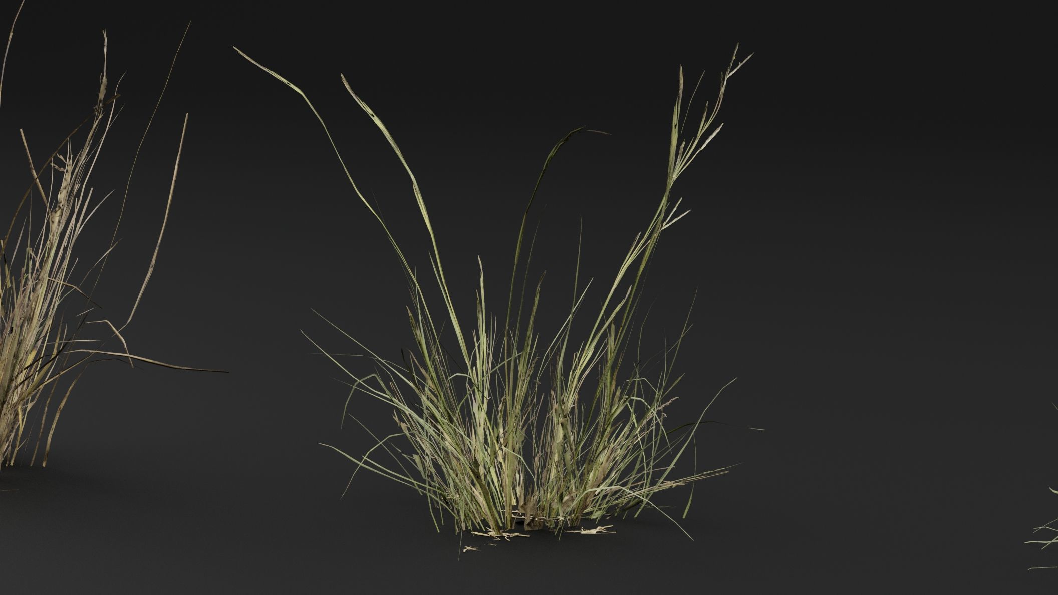 Grass 3D model_1