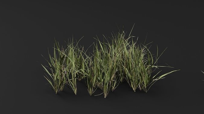 Grass 3D model