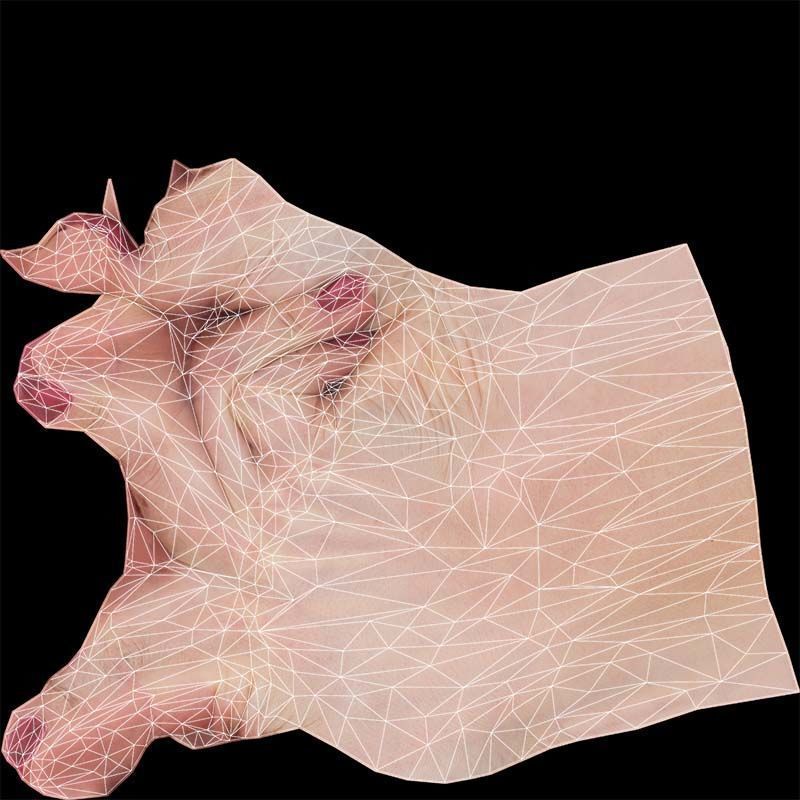 Woman Hand Sign Alphabet P Low-poly 3D model_14