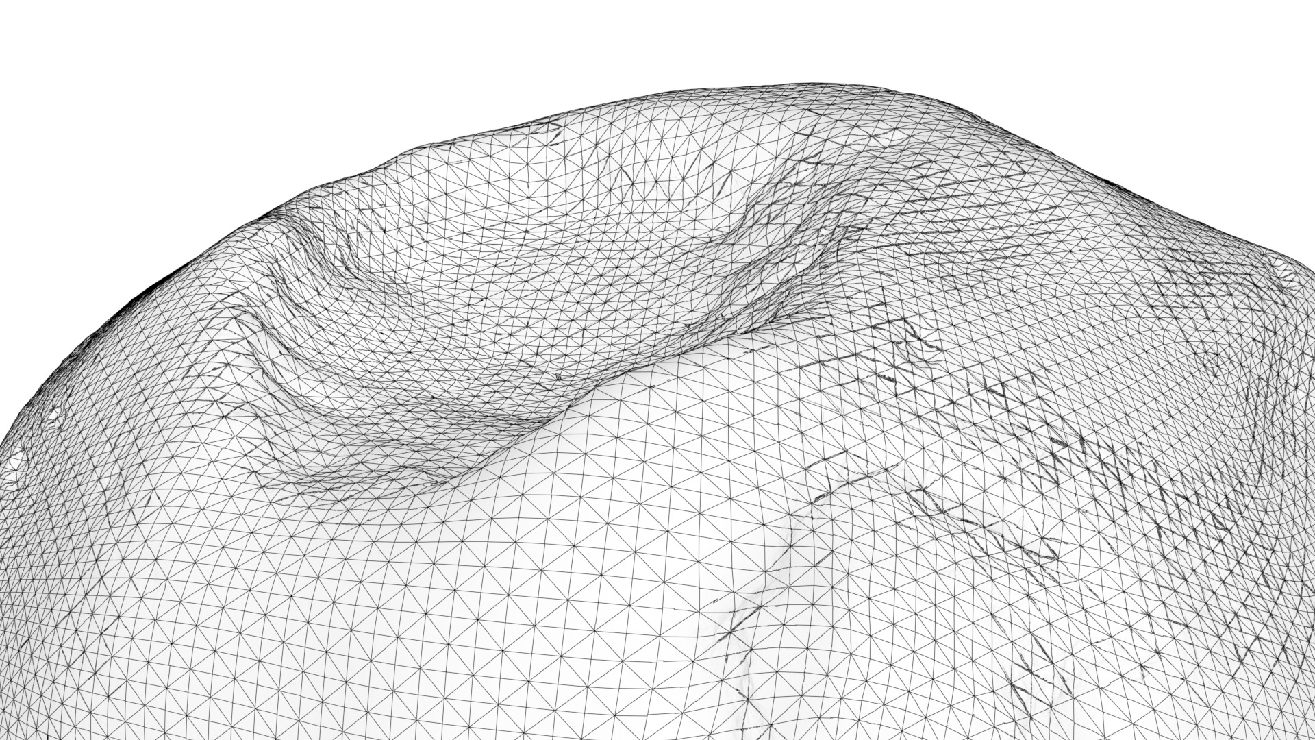 81P Wild Comet nucleus 3D model_7