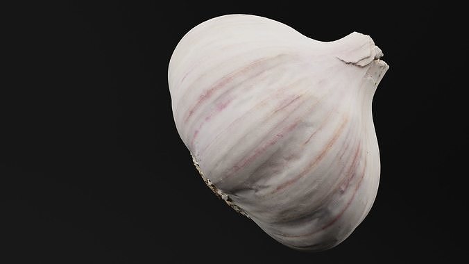 Garlic  3D model 4